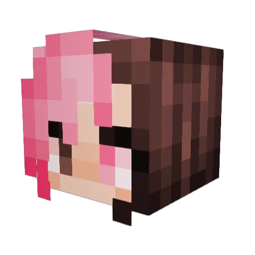 Narwhal69 Minecraft avatar head, 3D render