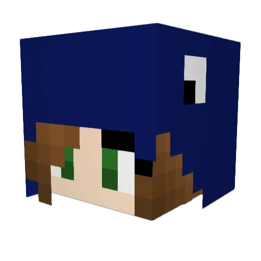 NarwhalBiscuit Minecraft avatar head, 3D render