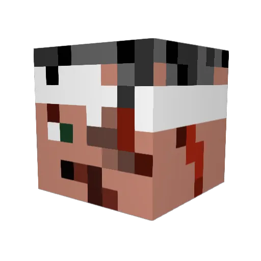 NarwhalSwag Minecraft avatar head, 3D render