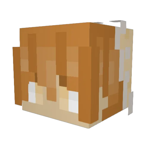Narwhal_Tea Minecraft avatar head, 3D render