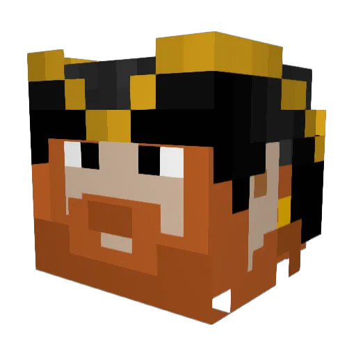Narwhale371 Minecraft avatar head, 3D render