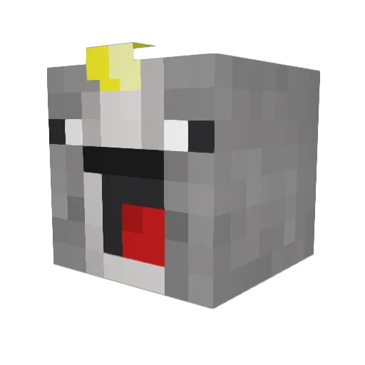 NarwhaleTamer Minecraft avatar head, 3D render