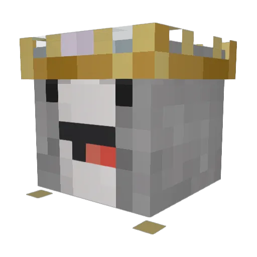 NarwhalsRcool Minecraft avatar head, 3D render
