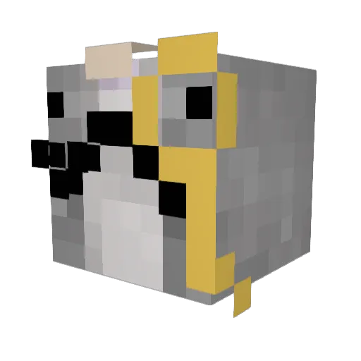 NarwhalsRuleU Minecraft avatar head, 3D render