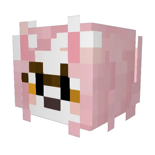Narwhix Minecraft avatar head, 3D render