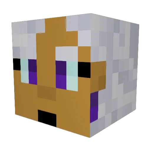 NaryPatinva Minecraft avatar head, 3D render