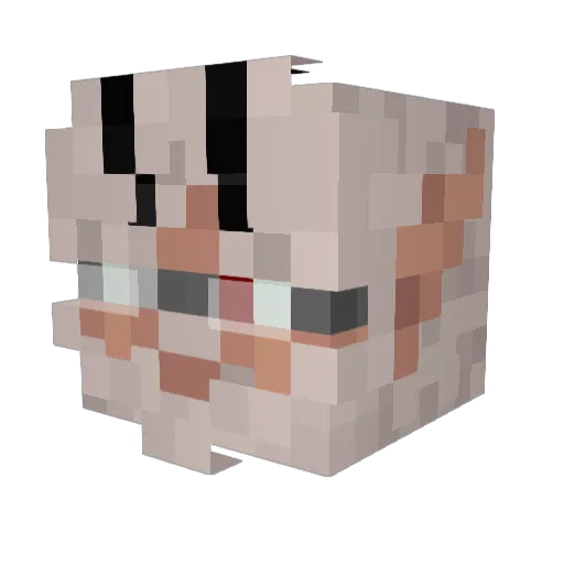 Nary_Ac Minecraft avatar head, 3D render