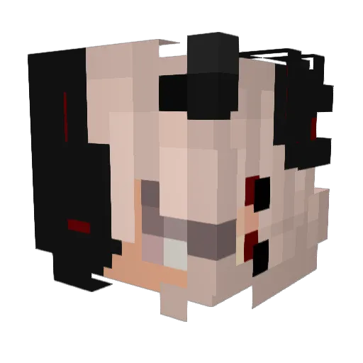 Naryto8866 Minecraft avatar head, 3D render