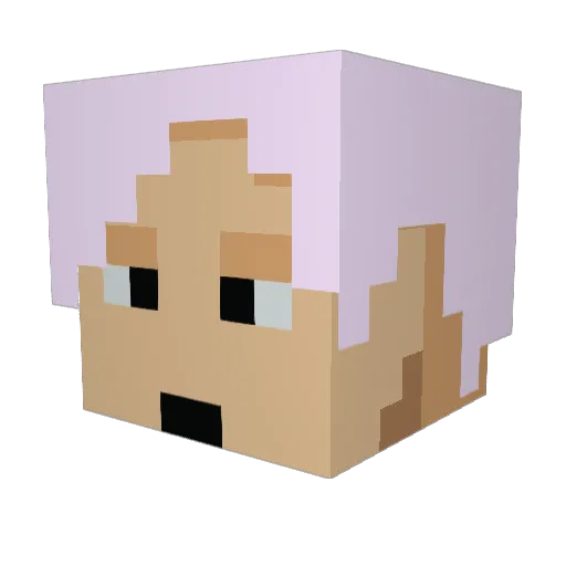 NasTV_ Minecraft avatar head, 3D render