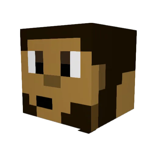 Nasa3000 Minecraft avatar head, 3D render