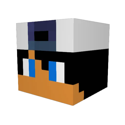 Naschae Minecraft avatar head, 3D render