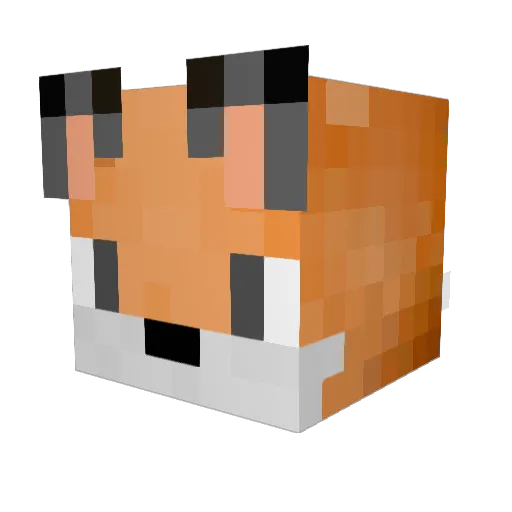 Naschfox Minecraft avatar head, 3D render