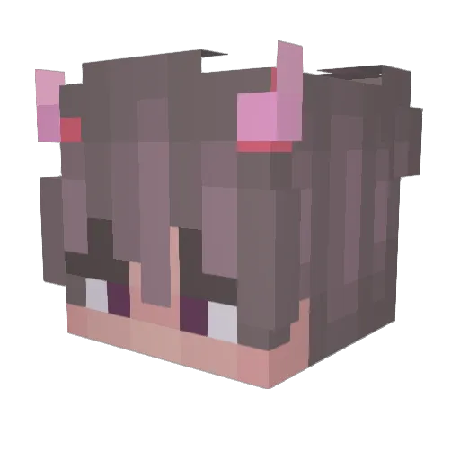 Naseku666 Minecraft avatar head, 3D render