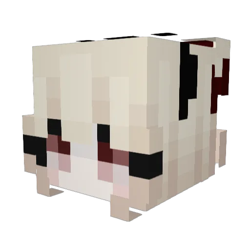 NasenWicht Minecraft avatar head, 3D render