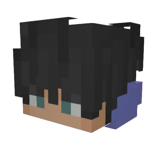 Nasenzwerg Minecraft avatar head, 3D render