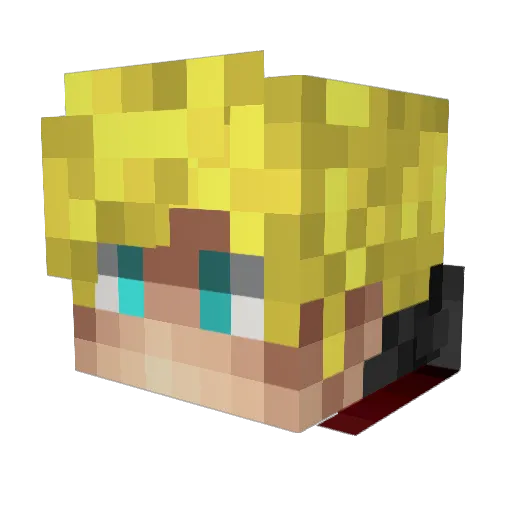NashVDV Minecraft avatar head, 3D render