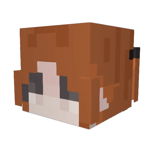 Nash_Infiniti Minecraft avatar head, 3D render