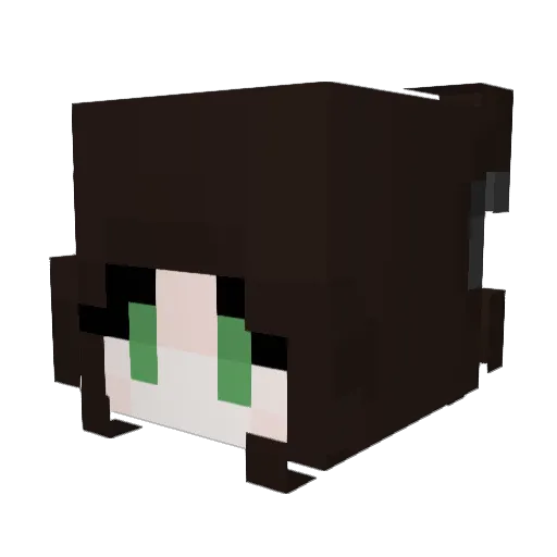 Nashi24 Minecraft avatar head, 3D render