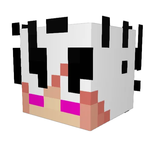 Nashkyu Minecraft avatar head, 3D render