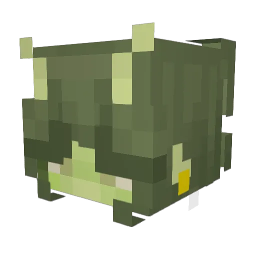 Nasia__ Minecraft avatar head, 3D render
