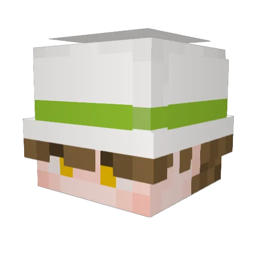 Nasiens Minecraft avatar head, 3D render