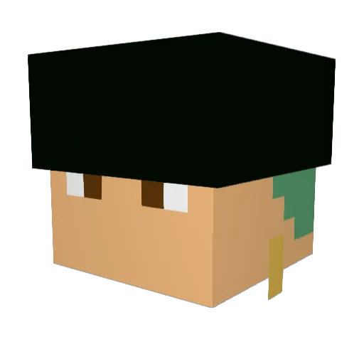 Nasking11 Minecraft avatar head, 3D render