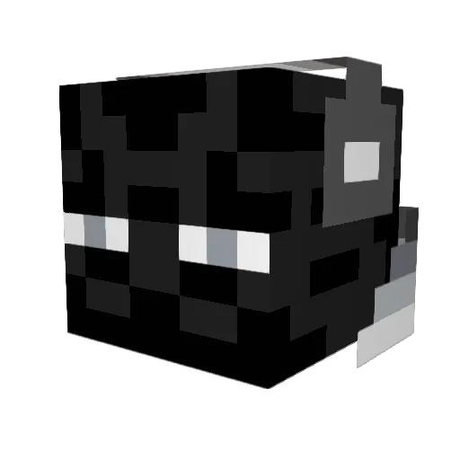 Nasley_ Minecraft avatar head, 3D render