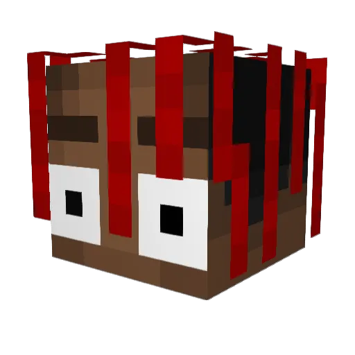 Nasrom Minecraft avatar head, 3D render
