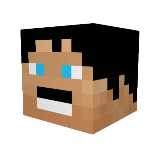 Nass3er20 Minecraft avatar head, 3D render