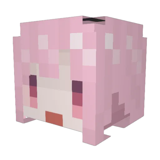 Nasto09 Minecraft avatar head, 3D render