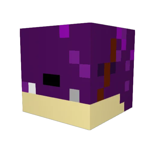 Nastogarde Minecraft avatar head, 3D render
