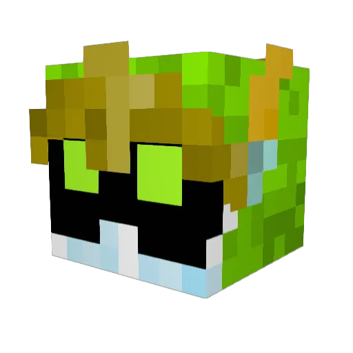 Nastri00 Minecraft avatar head, 3D render