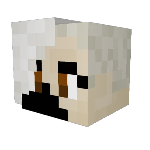 Nastushik5 Minecraft avatar head, 3D render