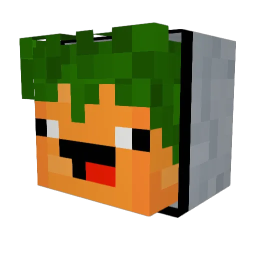 NastyCarrot Minecraft avatar head, 3D render