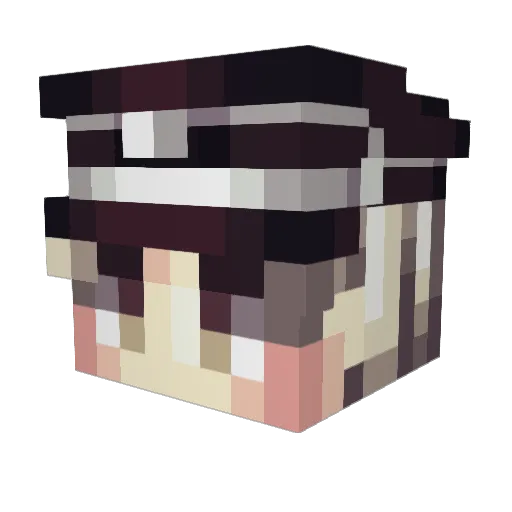 NastyDingo Minecraft avatar head, 3D render
