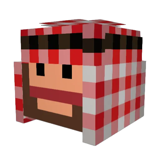NastyShmeat Minecraft avatar head, 3D render
