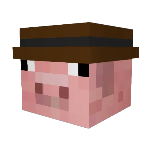NastySound Minecraft avatar head, 3D render