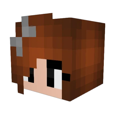 Nastya311 Minecraft avatar head, 3D render