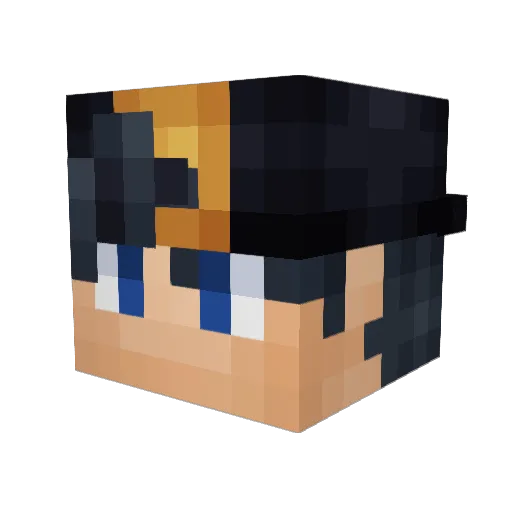 Nastygar Minecraft avatar head, 3D render
