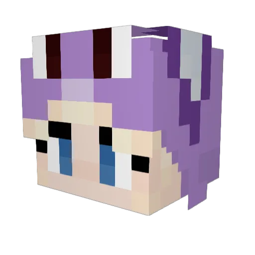 Nasu101 Minecraft avatar head, 3D render