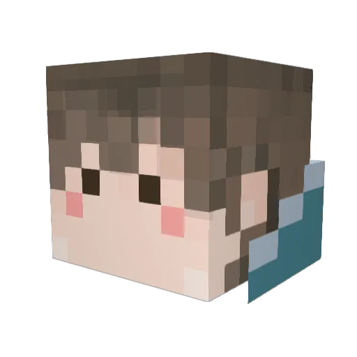 Nasusun Minecraft avatar head, 3D render