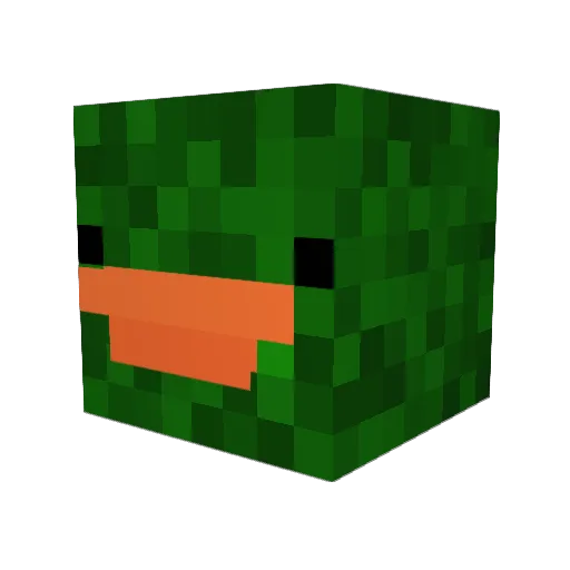 Nat0806 Minecraft avatar head, 3D render