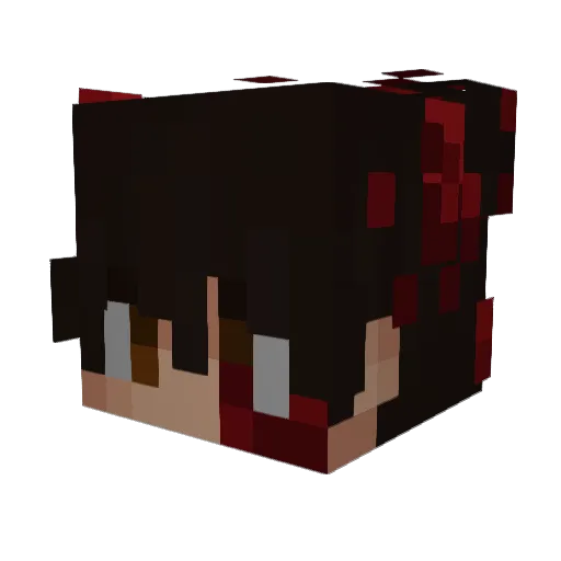 Nat0uille Minecraft avatar head, 3D render