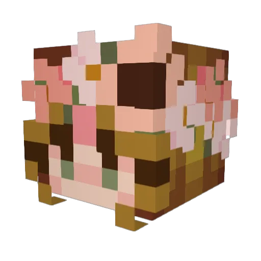 Nat3_ Minecraft avatar head, 3D render