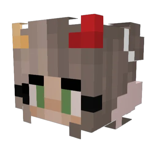 Nat531 Minecraft avatar head, 3D render