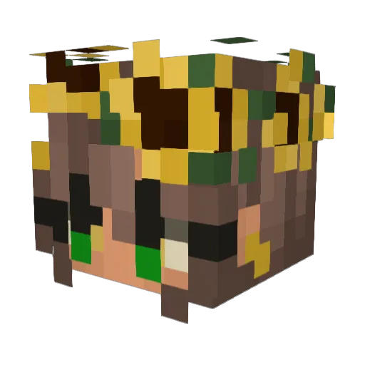 Nat69x Minecraft avatar head, 3D render