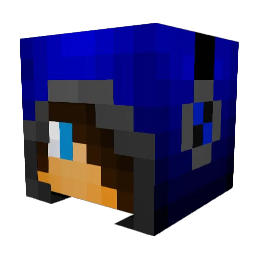 Nat9b Minecraft avatar head, 3D render