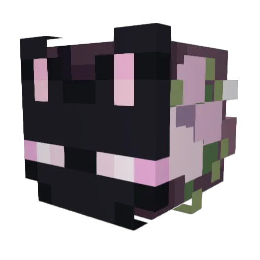 NatCatIris Minecraft avatar head, 3D render