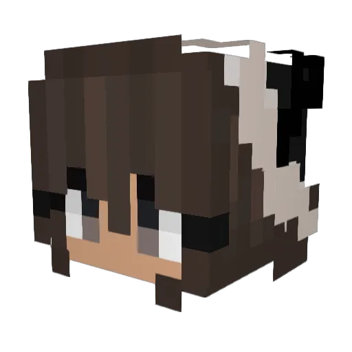 NatCon3 Minecraft avatar head, 3D render