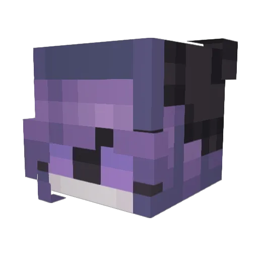 NatFr0g Minecraft avatar head, 3D render